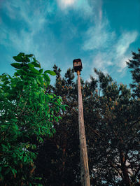 Low angle view of sign on tree against sky