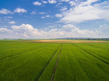 Scenic view of agricultural field against sky