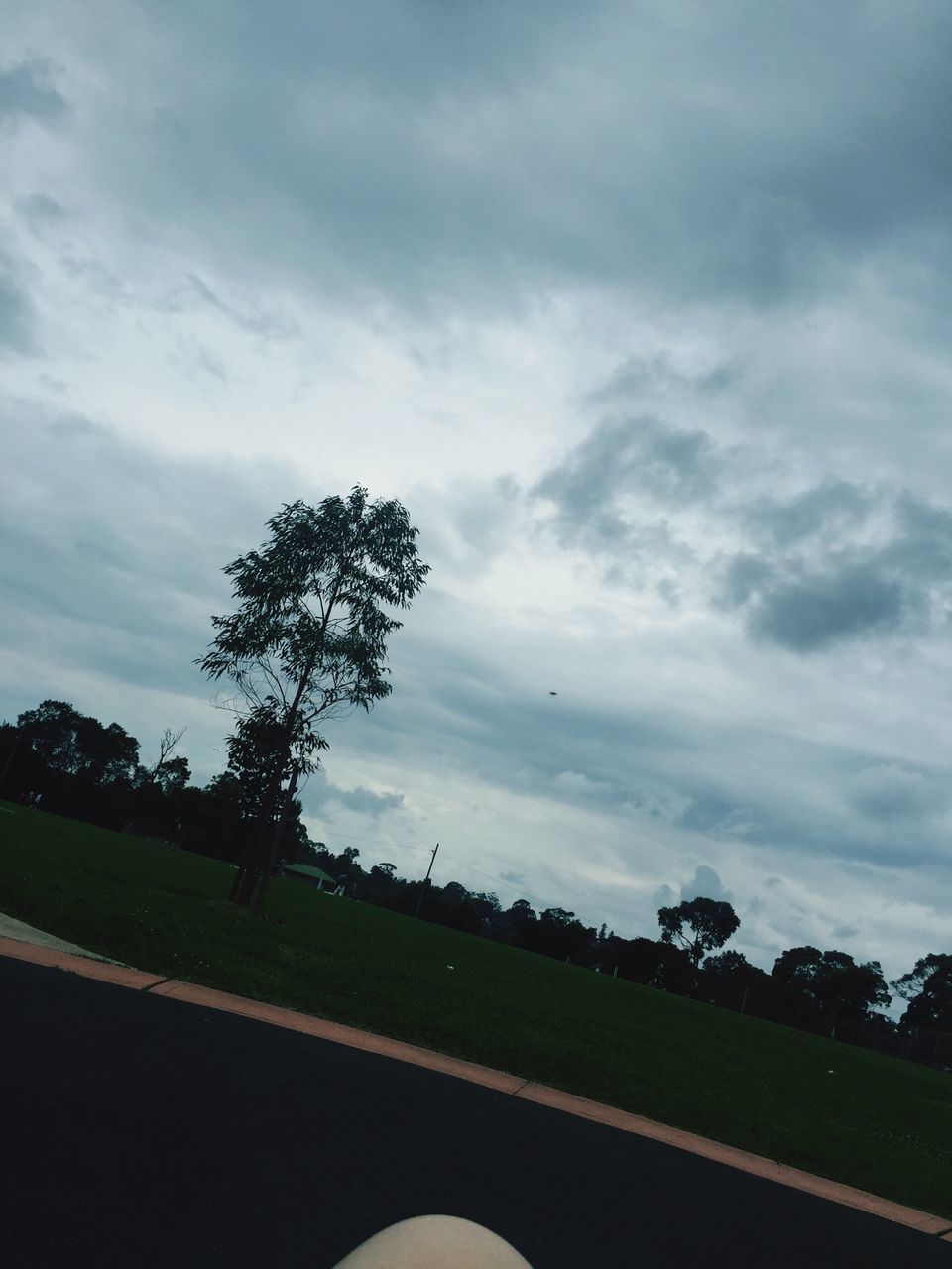 sky, tree, cloud - sky, grass, transportation, field, landscape, cloudy, cloud, tranquil scene, road, tranquility, nature, scenics, beauty in nature, land vehicle, grassy, growth, car, mode of transport