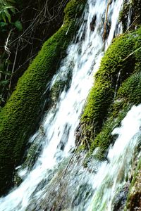 Scenic view of waterfall