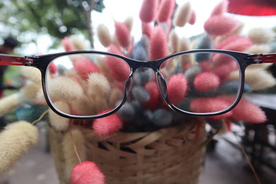 Close-up of red sunglasses on plant