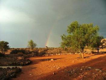 Trees on landscape against sky