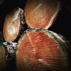 Stack of logs