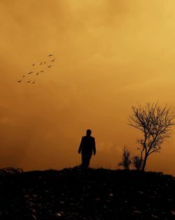 Silhouette man flying bird against sky during sunset