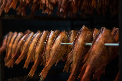 Close-up of meat for sale