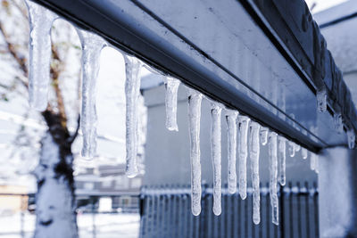 Close-up of icicles on window