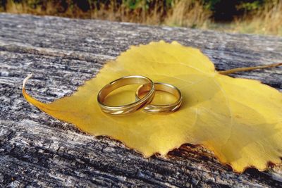 High angle view of wedding rings on leaf