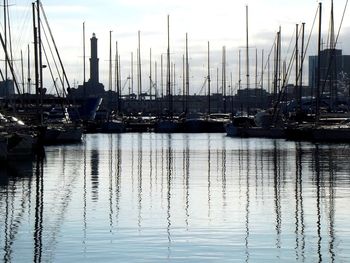 Sailboats moored at harbor against sky