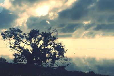 Silhouette tree by lake against sky during sunset