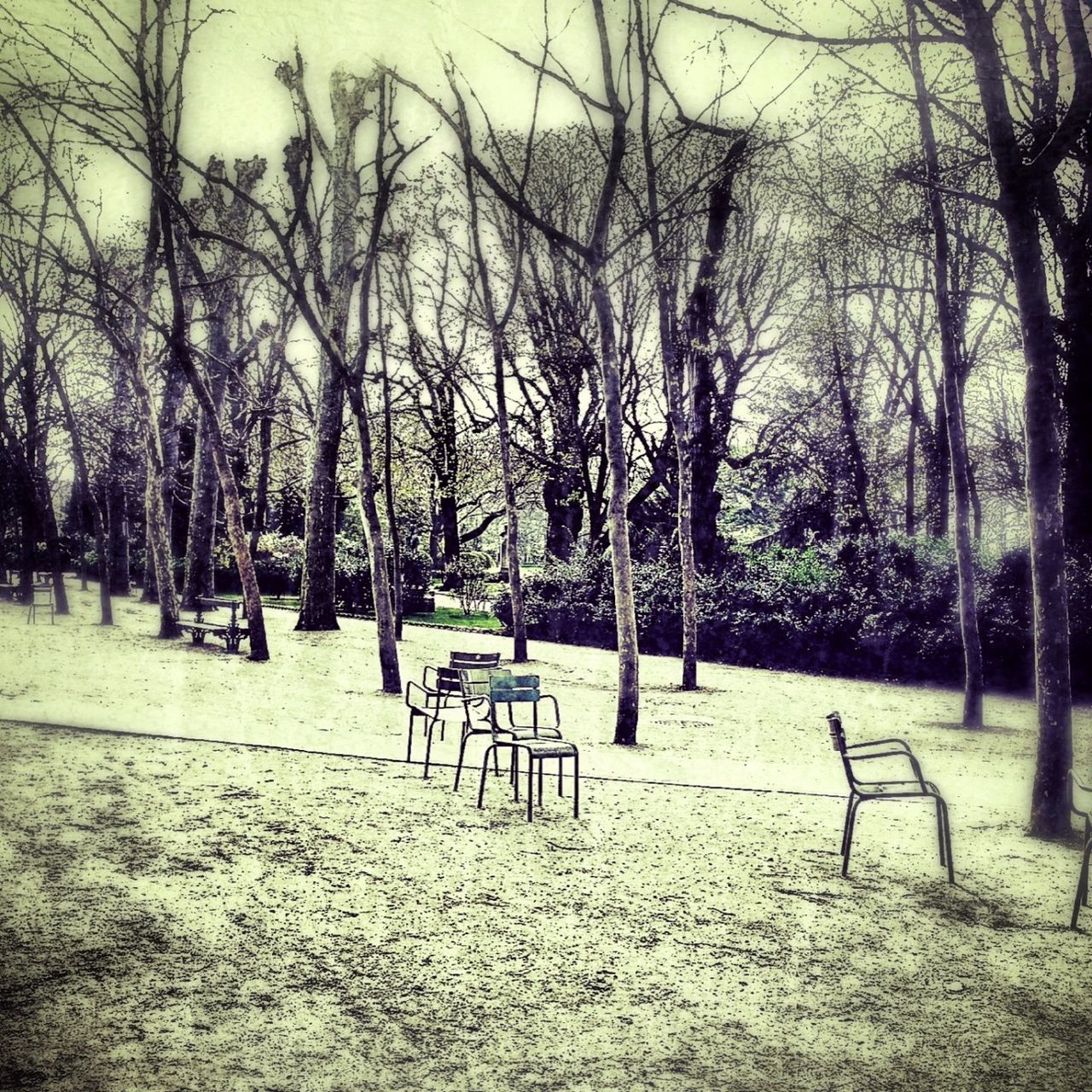 Le jardin du Luxembourg