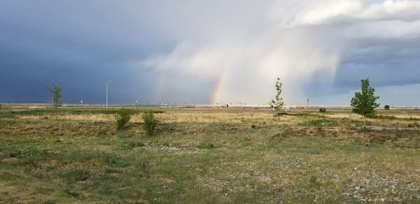 Scenic view of field against rainbow in sky