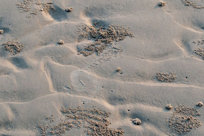 High angle view of footprints on sand at beach