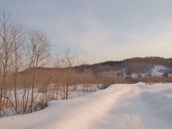 Snow covered landscape