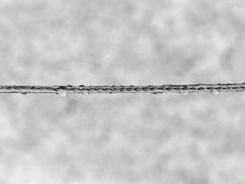 Low angle view of barbed wire against sky