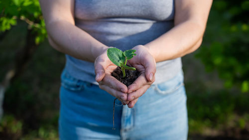 Midsection of man holding plant