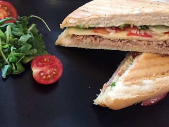 Close-up of fresh chicken meat toasted sandwich