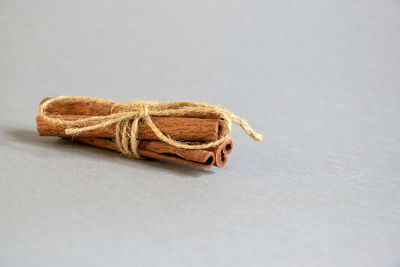 Close-up of lizard on table