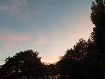 Low angle view of silhouette trees against sky at sunset