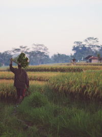 Rear view of man standing on field against clear sky