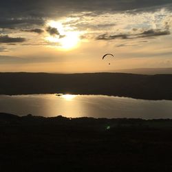 Silhouette bird flying over sea against sky during sunset