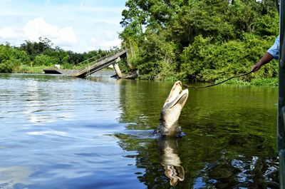 Men fishing in river