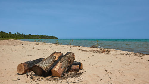 Driftwood on beach by sea against sky