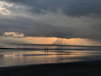 Silhouette people on beach against sky during sunset