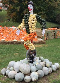 View of pumpkins against sky during autumn