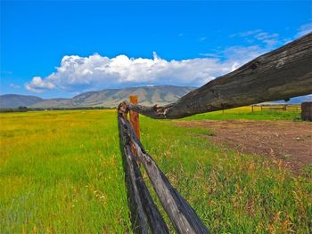 Scenic view of grassy field against cloudy sky