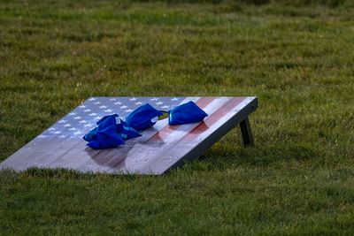 Patriotic bean bag toss game on grassy field in park