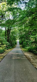 Road amidst trees