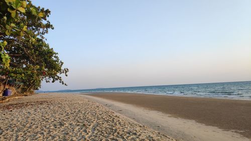 Scenic view of beach against clear sky