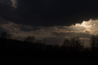 Silhouette of trees against dramatic sky