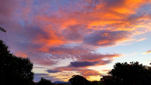 Silhouette trees against dramatic sky during sunset