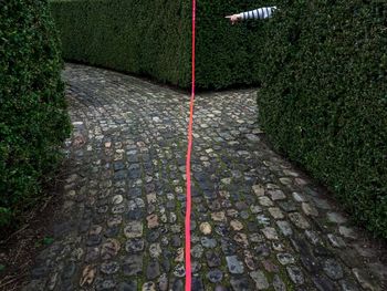 High angle view of footpath by street