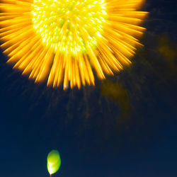 Close-up of yellow flower against sky at night