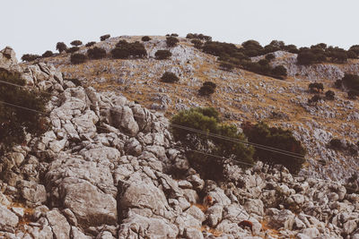 Rock formations on landscape against clear sky