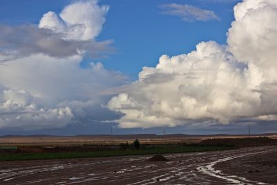 Scenic view of agricultural field against sky