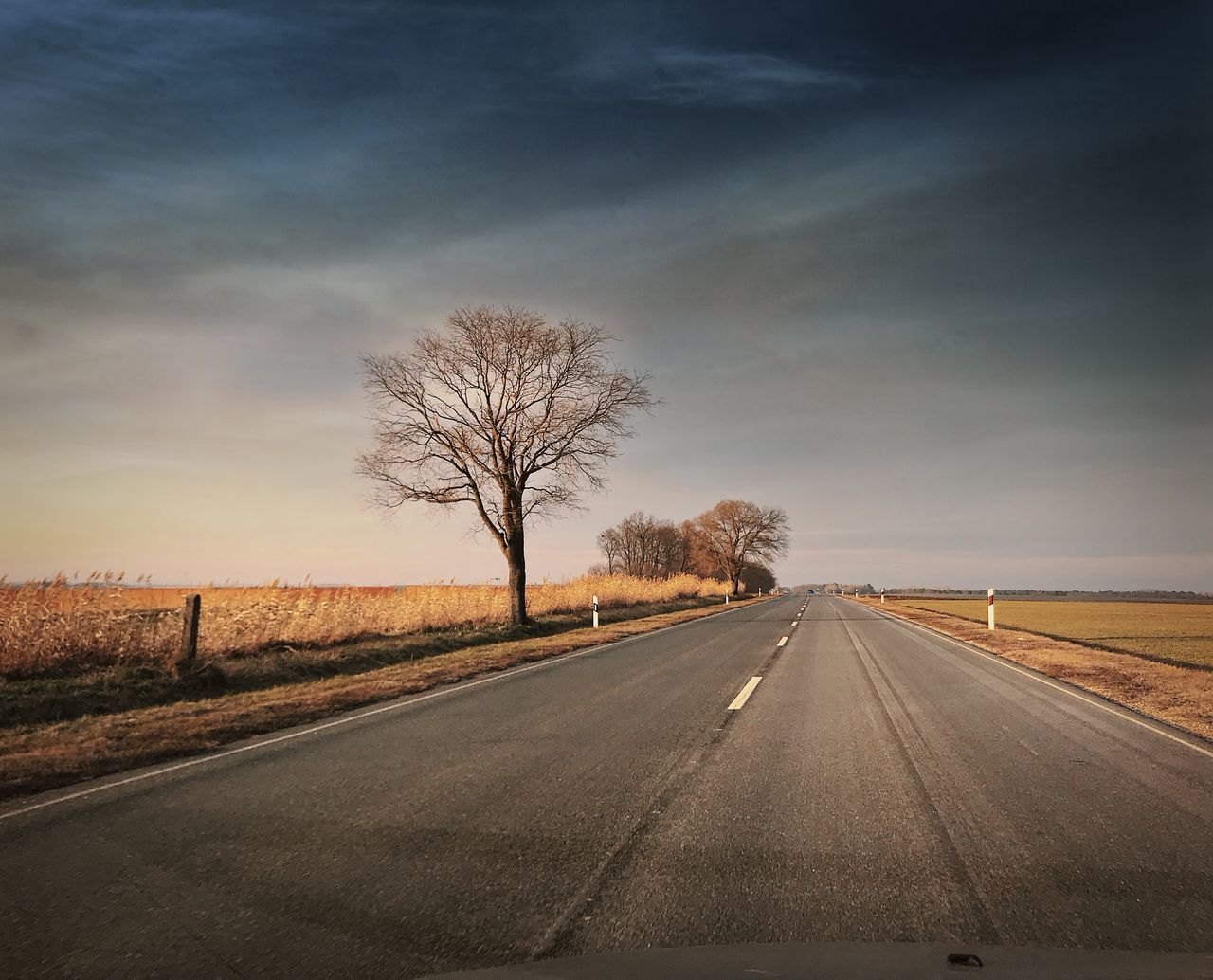 ROAD AMIDST BARE TREE AGAINST SKY