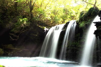 View of waterfall in forest