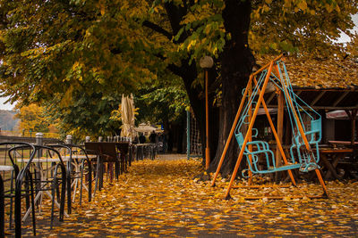 Empty chairs and table against trees during autumn