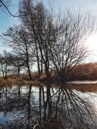 Bare tree by lake against sky