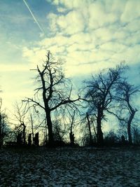 Bare trees against cloudy sky