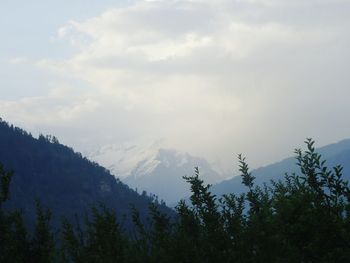 Scenic view of trees and mountains against sky