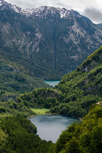 Scenic view of river in forest