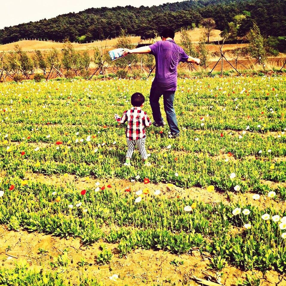 field, full length, leisure activity, lifestyles, casual clothing, childhood, grass, landscape, boys, elementary age, standing, rural scene, agriculture, person, growth, girls, grassy, nature