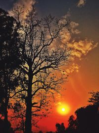 Low angle view of silhouette trees against sky at sunset