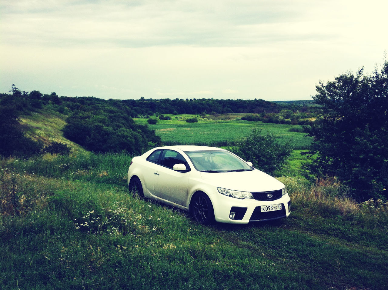 grass, transportation, field, mode of transport, land vehicle, sky, landscape, car, grassy, green color, nature, tranquility, day, tranquil scene, cloud, cloud - sky, growth, tree, beauty in nature, outdoors