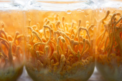 Close-up of orange glass on table