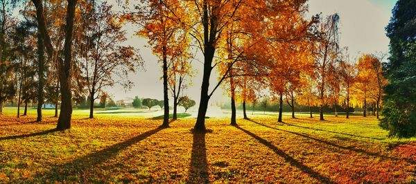 Scenic view of field against sky during autumn